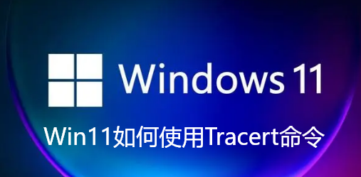 Win11如何使用Tracert命令