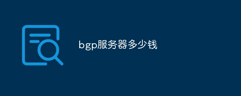 bgp服务器多少钱