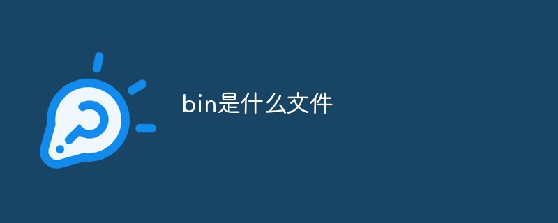 bin是什么文件