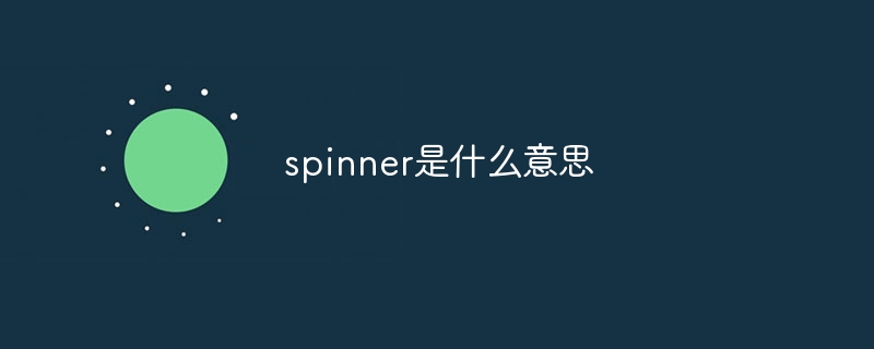 spinner是什么意思